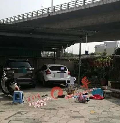 角美最新命案深度探究与反思