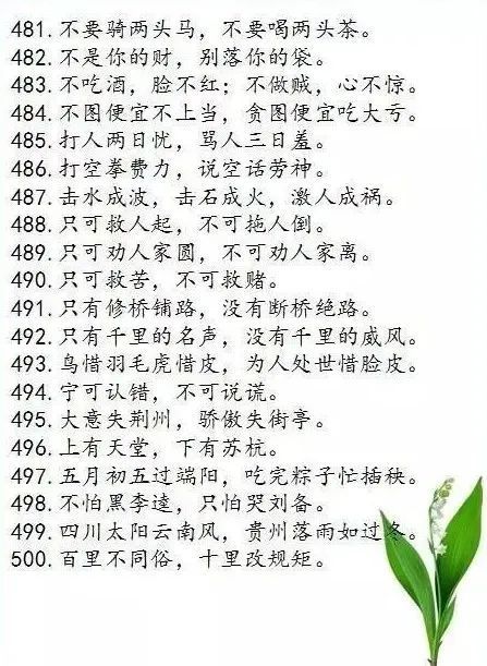 最新谚语传承智慧，启迪未来之路